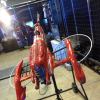 vanshipdrone06